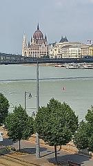 Donau (222)